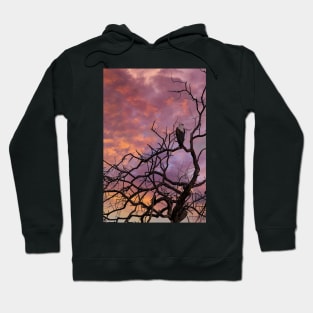 Sunset in Botswana Hoodie